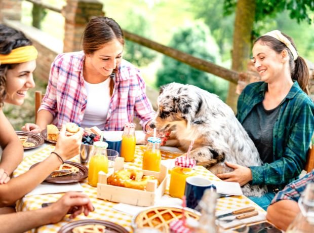 Arquitetura pet-friendly: como criar restaurantes que acolhem humanos e animais